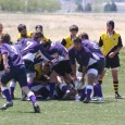 Want to Play Tigers Rugby? If you want to play rugby with us, please call Paul O’Brian now at (303) 506-8110. You can use the Contact Us form below, and we’ll answer your question directly....