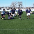 Tweet Tigers Rugby hosted the Brighton Thunderhawks and the Northside Vikings to a round robin of scrimmages at Trailwinds Park.  Each team played four periods on a sunny cool morning...