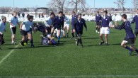 Tigers Rugby hosted the Brighton Thunderhawks and the Northside Vikings to a round robin of scrimmages at Trailwinds Park.  Each team played four periods on a sunny cool morning on...